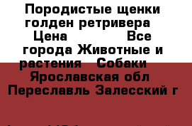 Породистые щенки голден ретривера › Цена ­ 25 000 - Все города Животные и растения » Собаки   . Ярославская обл.,Переславль-Залесский г.